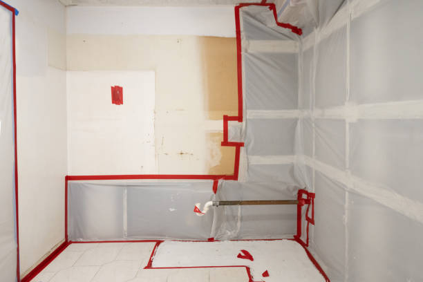 Best Commercial Mold Inspection  in Brookhaven, GA