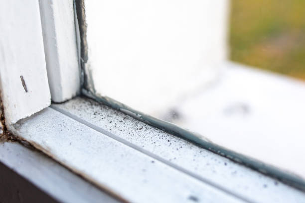 Best Emergency Mold Remediation  in Brookhaven, GA