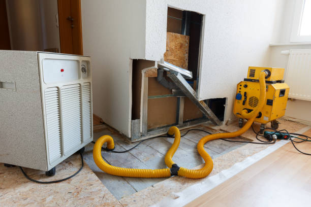 Best Forensic Mold Investigation  in Brookhaven, GA